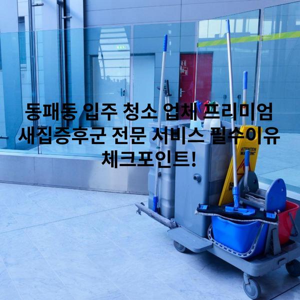 동패동 입주 청소 업체 프리미엄 새집증후군 전문 서비스 필수이유 체크포인트!