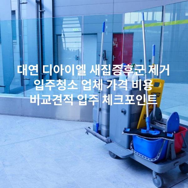 대연 디아이엘 새집증후군 제거 입주청소 업체 가격 비용 비교견적 입주 체크포인트