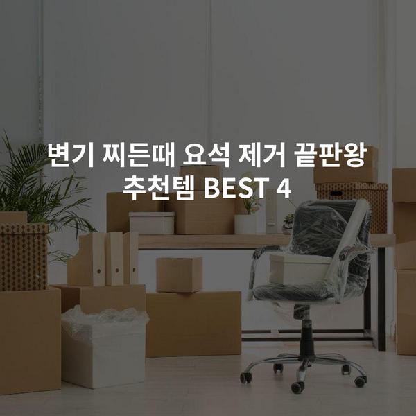 변기 찌든때 요석 제거 끝판왕 추천템 BEST 4